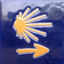 De Calixtinus